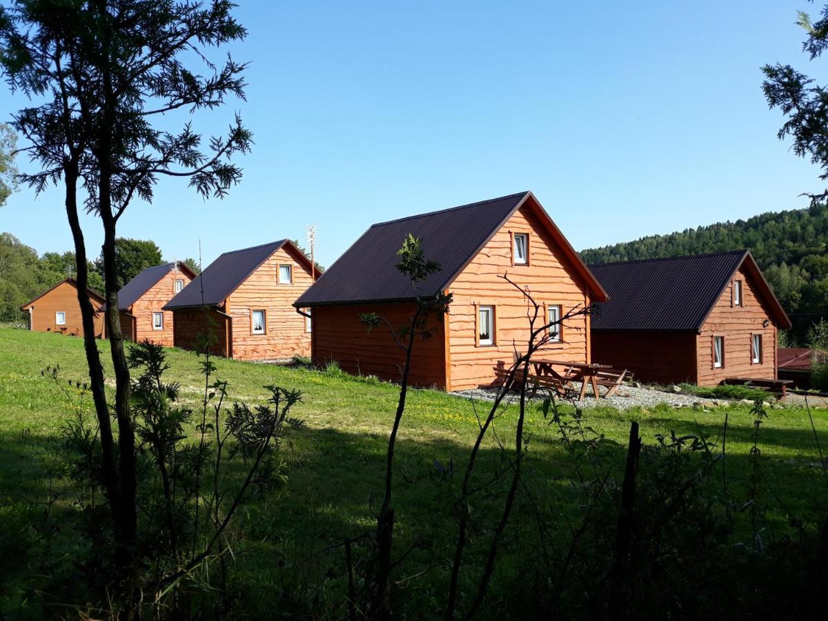 U Zrodel Strwiaza Villa Ustrzyki Dolne Exterior foto