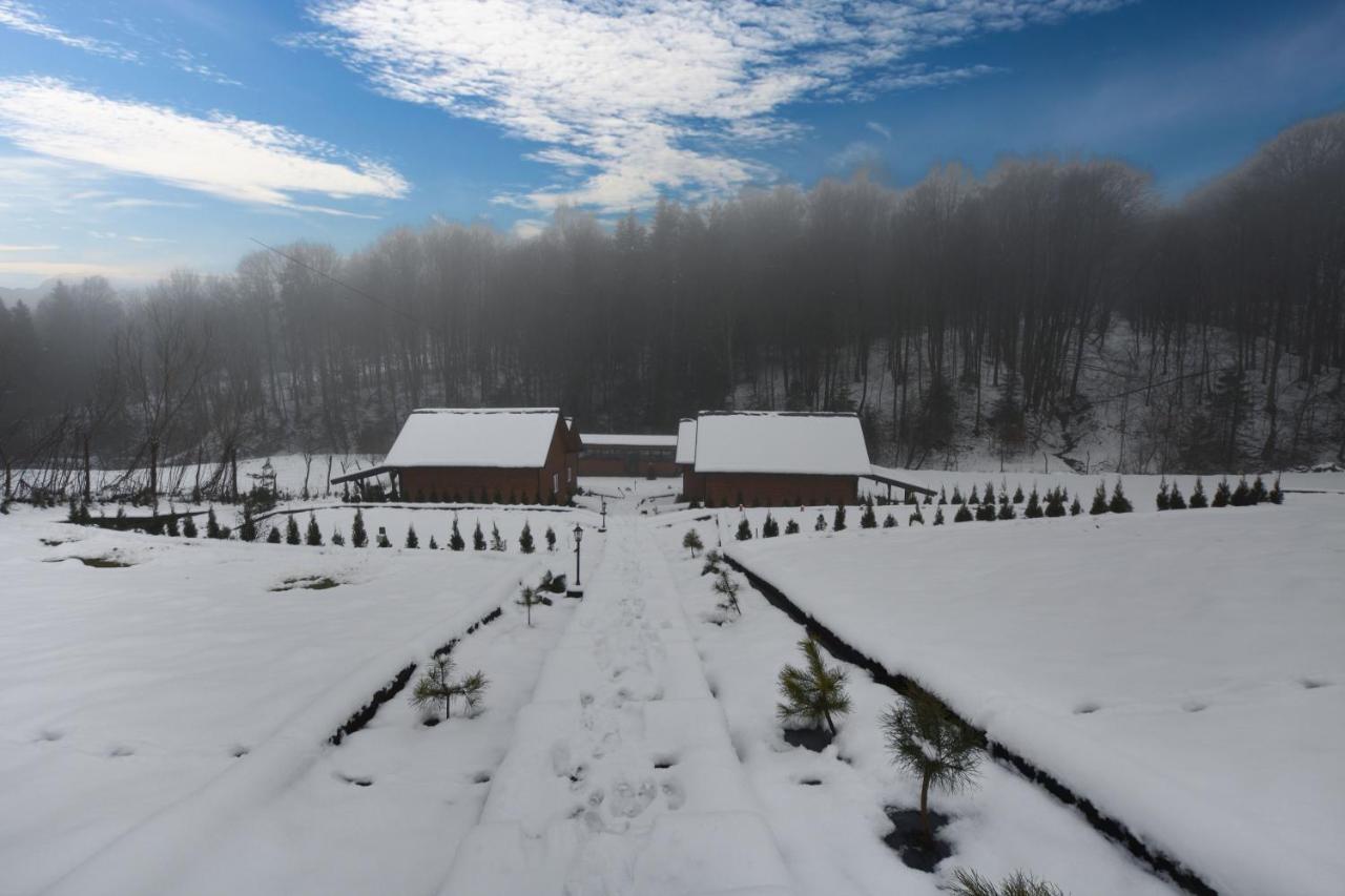 U Zrodel Strwiaza Villa Ustrzyki Dolne Exterior foto